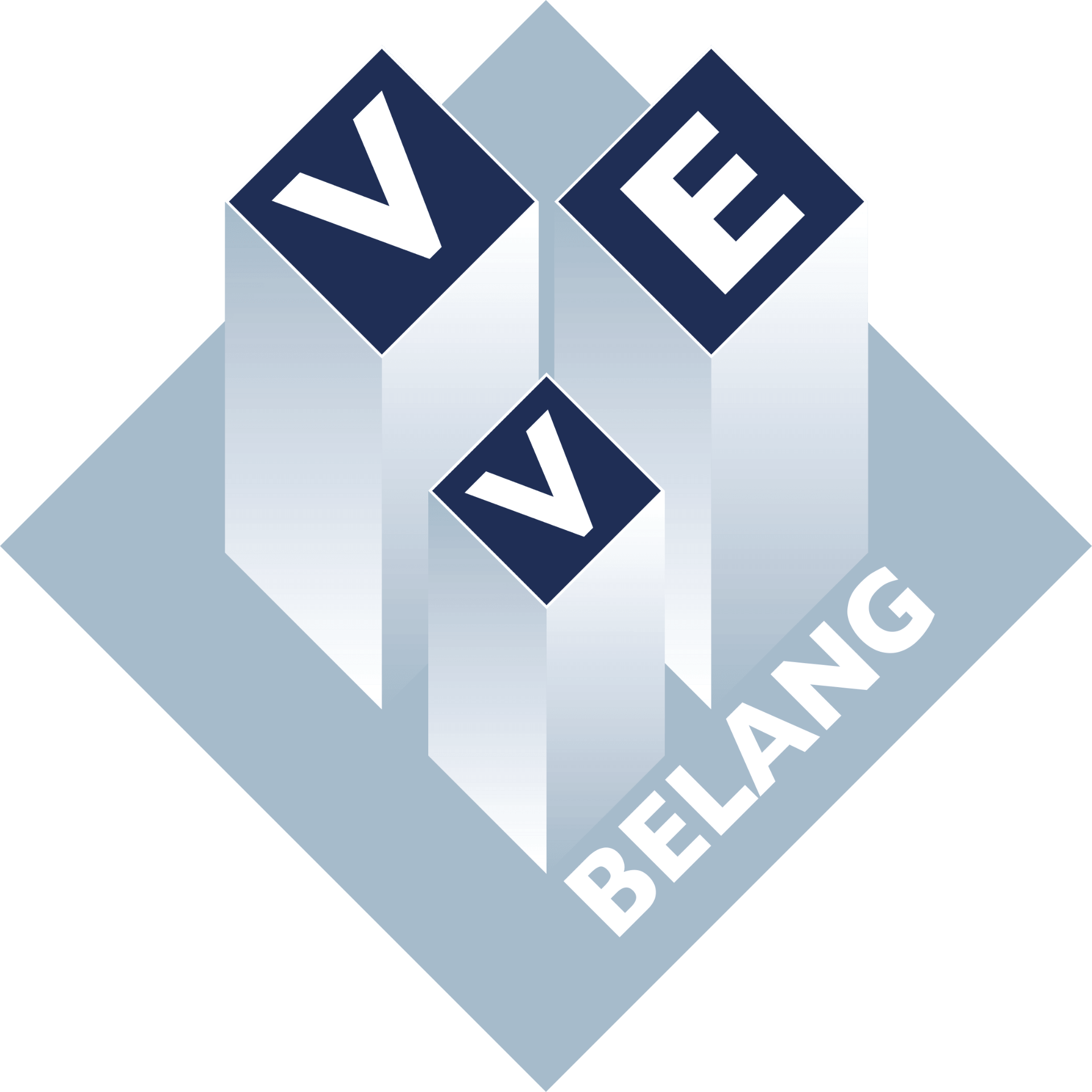 VVE Belang